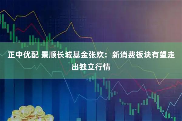 正中优配 景顺长城基金张欢：新消费板块有望走出独立行情